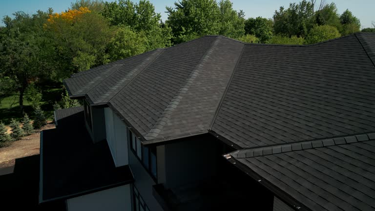 Best Roof Moss and Algae Removal  in Abbotsford, WI